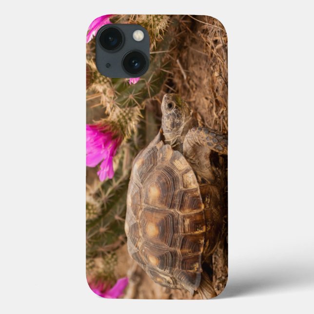 USA, Texas, Hidalgo County. Tortoise Case-Mate iPhone Case (Back)
