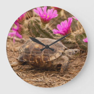 USA, Texas, Hidalgo County. Tortoise Large Clock