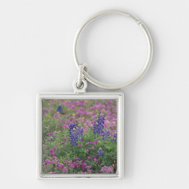 USA, Texas Hill Country. Bluebonnets among phlox Key Ring (Front)