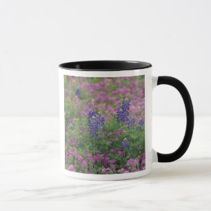 USA, Texas Hill Country. Bluebonnets among phlox Mug