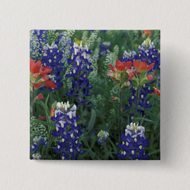 USA, Texas Hill Country. Bluebonnets and 15 Cm Square Badge (Front)