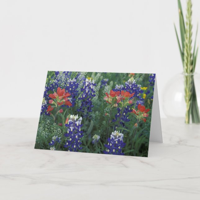 USA, Texas Hill Country. Bluebonnets and Card (Front)