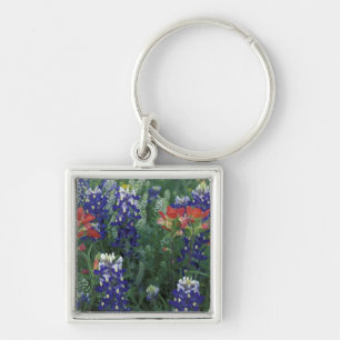 USA, Texas Hill Country. Bluebonnets and Key Ring