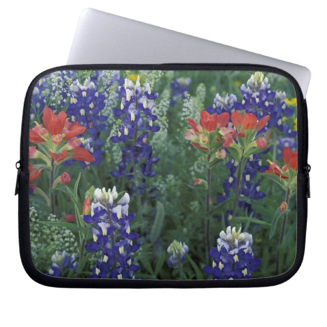 USA, Texas Hill Country. Bluebonnets and Laptop Sleeve (Front)