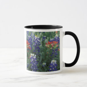 USA, Texas Hill Country. Bluebonnets and Mug