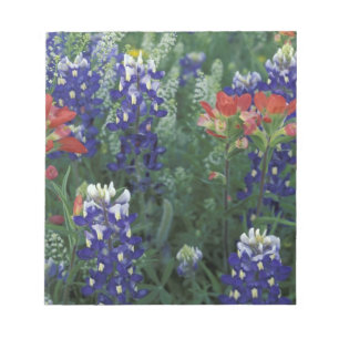 USA, Texas Hill Country. Bluebonnets and Notepad