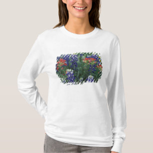 USA, Texas Hill Country. Bluebonnets and T-Shirt