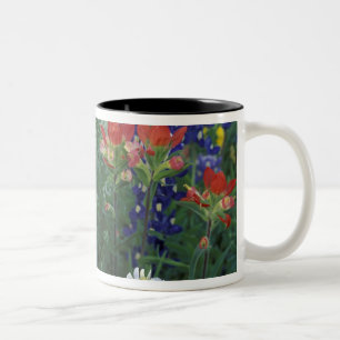 USA, Texas Hill Country. Bluebonnets and Two-Tone Coffee Mug