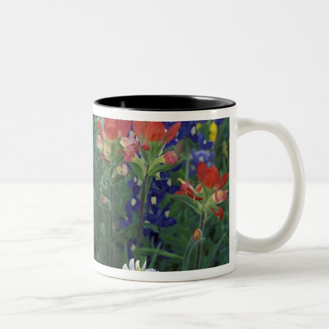 USA, Texas Hill Country. Bluebonnets and Two-Tone Coffee Mug (Right)