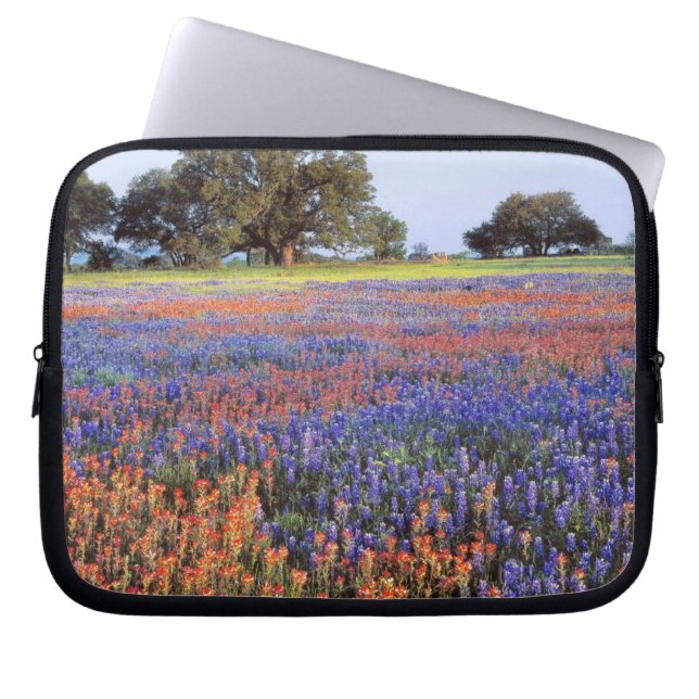 USA, Texas, Llano. Bluebonnets and redbonnets Laptop Sleeve (Front)
