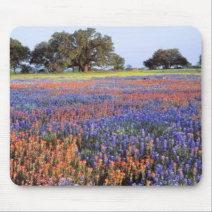 USA, Texas, Llano. Bluebonnets and redbonnets Mouse Mat
