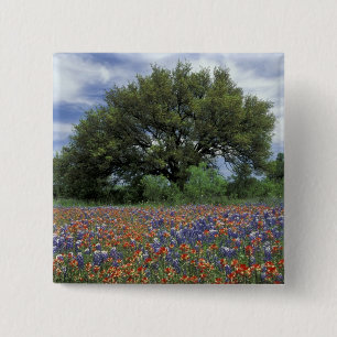 USA, Texas, Marble Falls Paintbrush and 15 Cm Square Badge