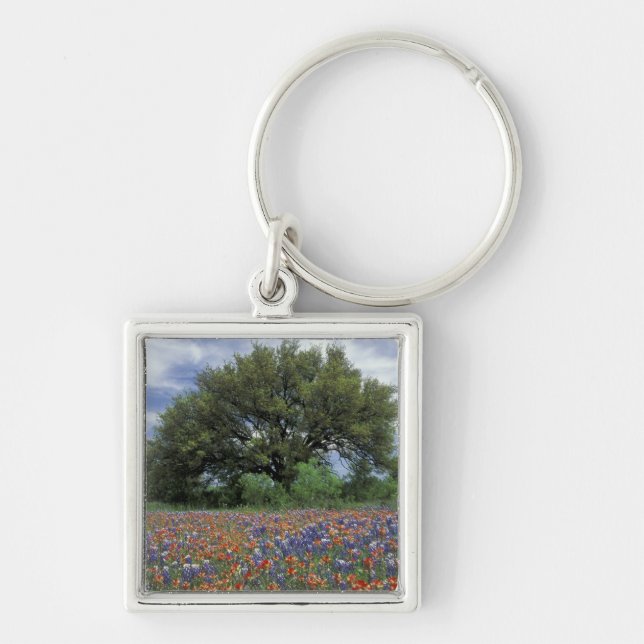 USA, Texas, Marble Falls Paintbrush and Key Ring (Front)