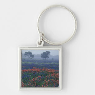 USA, Texas, near Lytle Fog, oaks, blue bonnets Key Ring