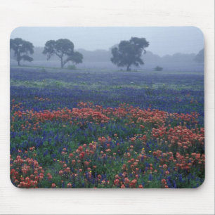 USA, Texas, near Lytle Fog, oaks, blue bonnets Mouse Mat
