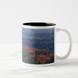 USA, Texas, near Lytle Fog, oaks, blue bonnets Two-Tone Coffee Mug