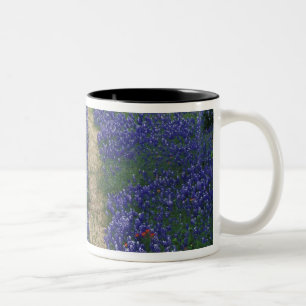USA, Texas, near Marble Falls, Tracks in blue Two-Tone Coffee Mug