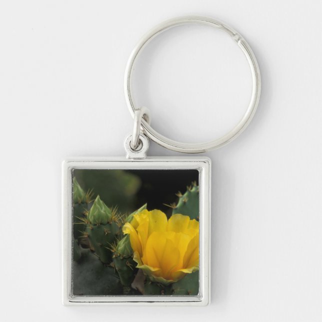 USA, Texas, Prickly Pear Cactus in bloom. Key Ring (Front)