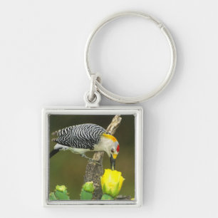 USA, Texas, Rio Grande Valley, McAllen. Male Key Ring
