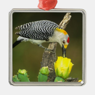 USA, Texas, Rio Grande Valley, McAllen. Male Metal Tree Decoration
