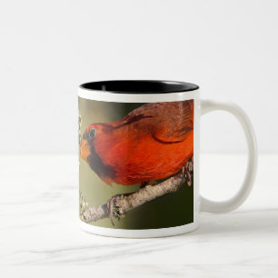 USA, Texas, Rio Grande Valley, McAllen. Mated Two-Tone Coffee Mug