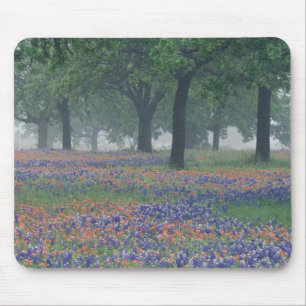 USA, Texas, Texas Hill Country Expansive field Mouse Mat
