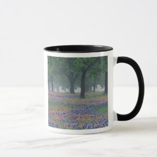 USA, Texas, Texas Hill Country Expansive field Mug