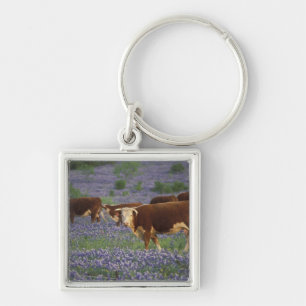 USA, Texas, Texas Hill Country, Hereford Key Ring