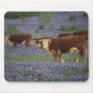 USA, Texas, Texas Hill Country, Hereford Mouse Mat