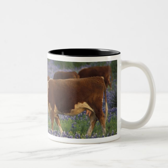 USA, Texas, Texas Hill Country, Hereford Two-Tone Coffee Mug (Right)