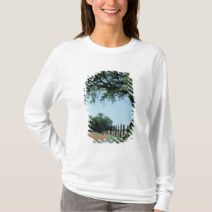 USA, Texas, Texas Hill Country Paintbrush and T-Shirt