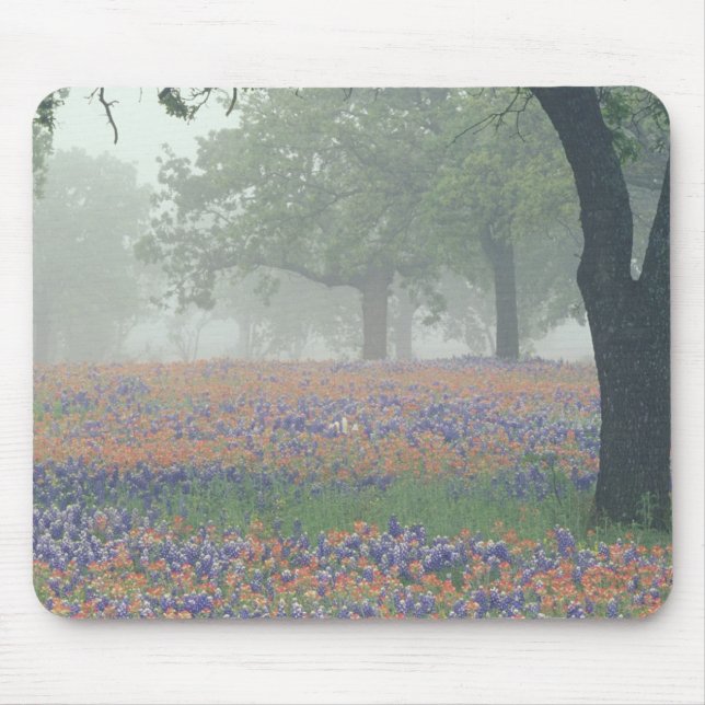 USA, Texas. Texas paintbrush and bluebonnets Mouse Mat (Front)