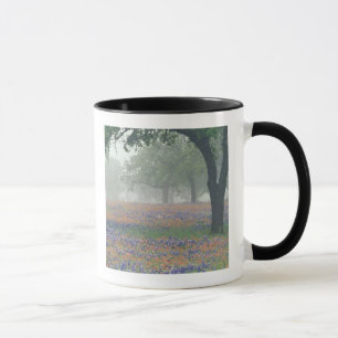 USA, Texas. Texas paintbrush and bluebonnets Mug