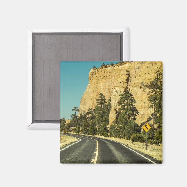 USA Travel Photo Magnet (Front/Back)