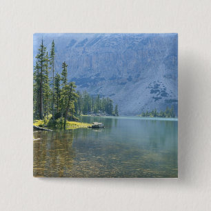 USA, Utah, Ashley National Forest, High Uintas 15 Cm Square Badge