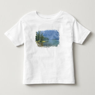 USA, Utah, Ashley National Forest, High Uintas Toddler T-Shirt