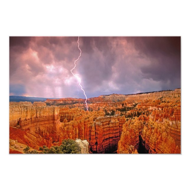 USA, Utah, Bryce Canyon National Park. Photo Print (Front)