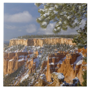 USA, Utah, Bryce Canyon National Park. Sunrise Tile
