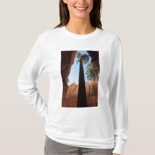 USA, Utah, Bryce Canyon National Park. Tall T-Shirt