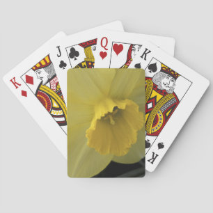 USA, Utah, Cache Valley Daffodils Playing Cards