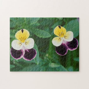 USA, Utah, Cache Valley, Johnny Jump Up Jigsaw Puzzle