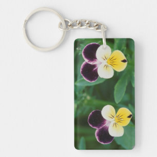 USA, Utah, Cache Valley, Johnny Jump Up Key Ring