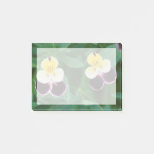 USA, Utah, Cache Valley, Johnny Jump Up Post-it Notes