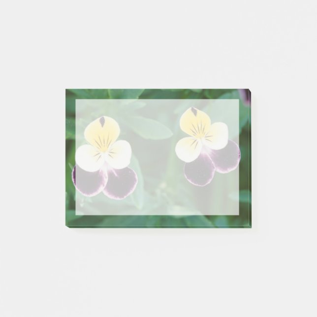 USA, Utah, Cache Valley, Johnny Jump Up Post-it Notes (Front)