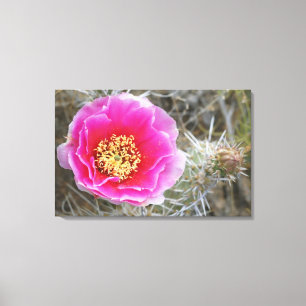 USA, Utah, Canyonlands NP, Desert Prickly Pear Canvas Print