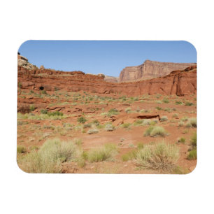 USA, Utah, Canyonlands NP, Shafer Canyon Magnet