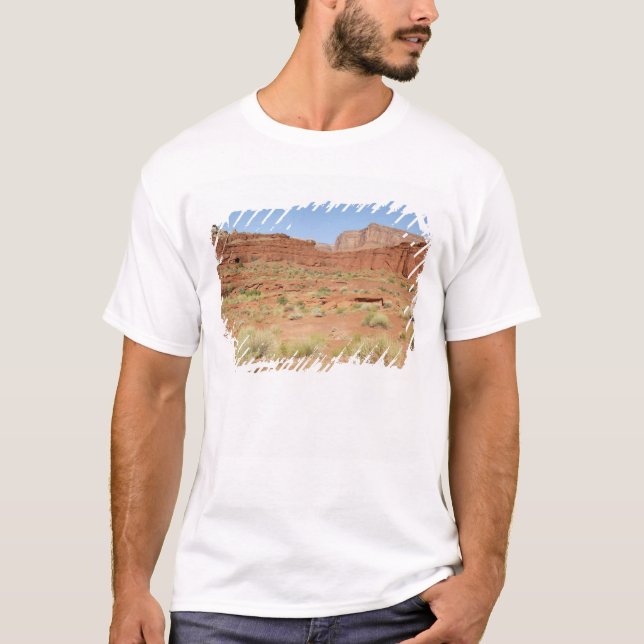 USA, Utah, Canyonlands NP, Shafer Canyon T-Shirt (Front)