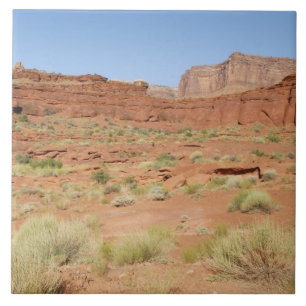 USA, Utah, Canyonlands NP, Shafer Canyon Tile