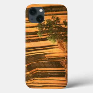 USA, Utah, Capitol Reef National Park iPhone 13 Case