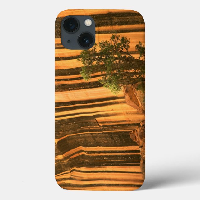 USA, Utah, Capitol Reef National Park Case-Mate iPhone Case (Back)